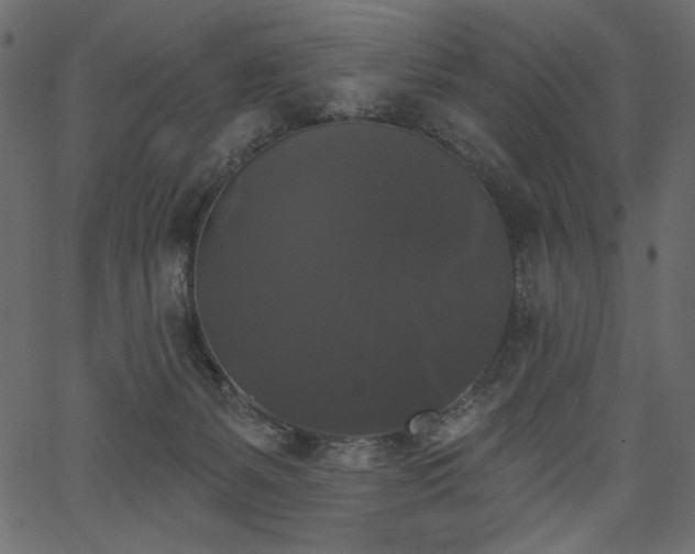 X0000067390127200603311308