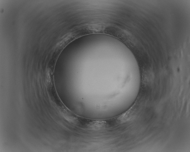 X0000067390128200603311308