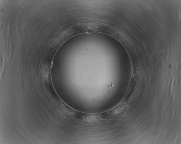 X0000067390129200603311308