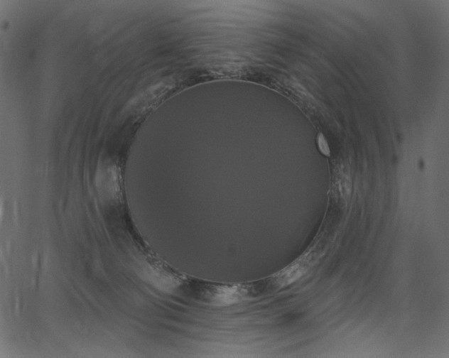 X0000067390130200603311308