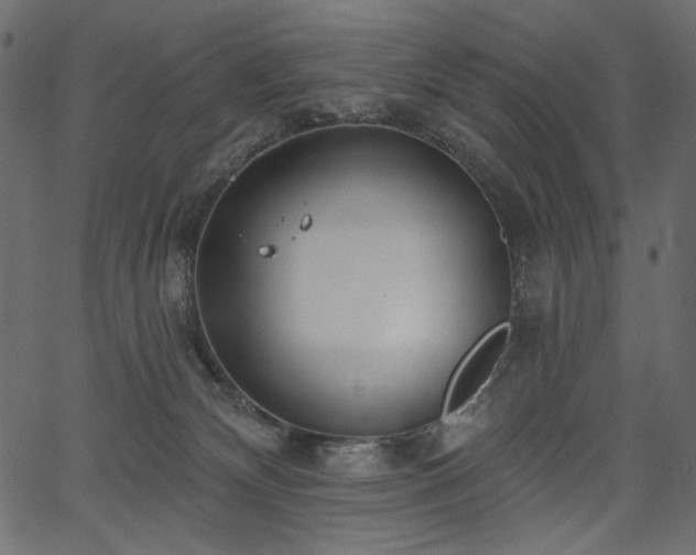 X0000067390132200603311308