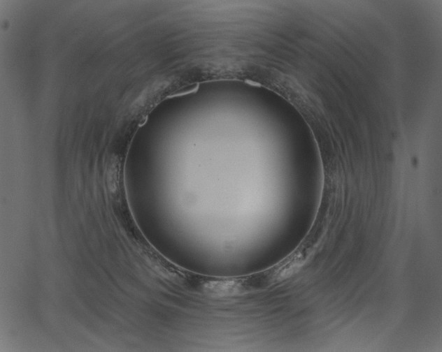 X0000067390133200603311308