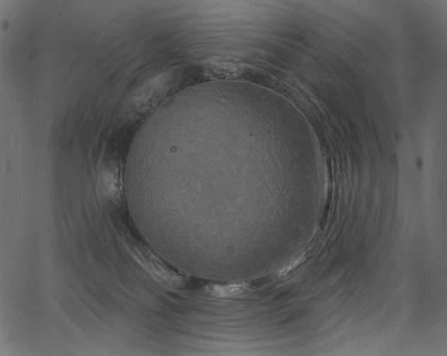 X0000067390134200603311308