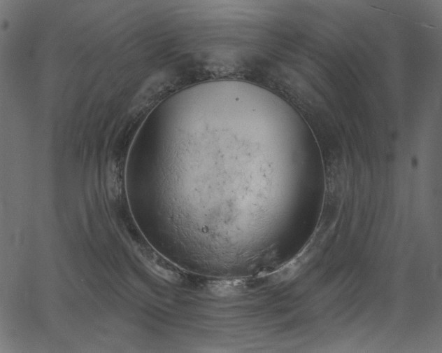 X0000067390136200603311308