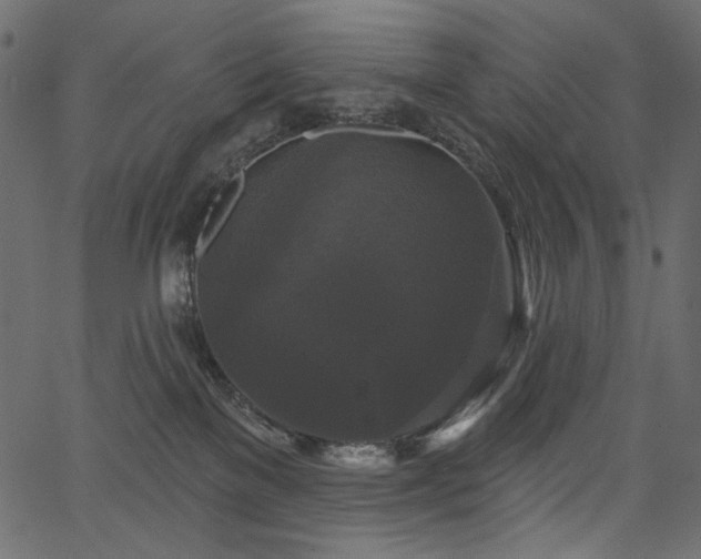 X0000067390137200603311308