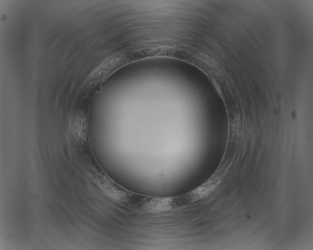 X0000067390138200603311308