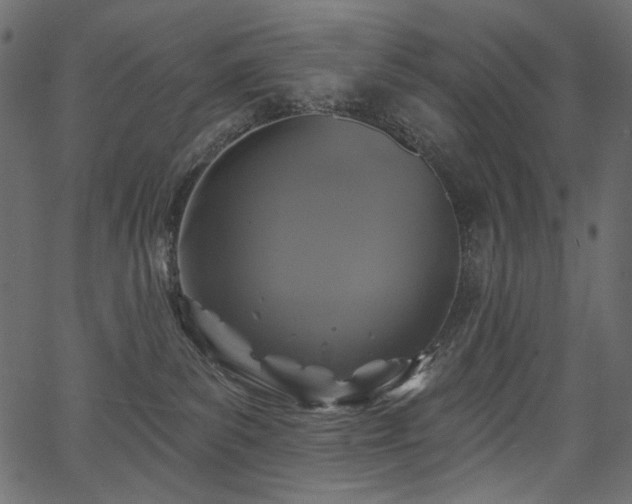 X0000067390139200603311308