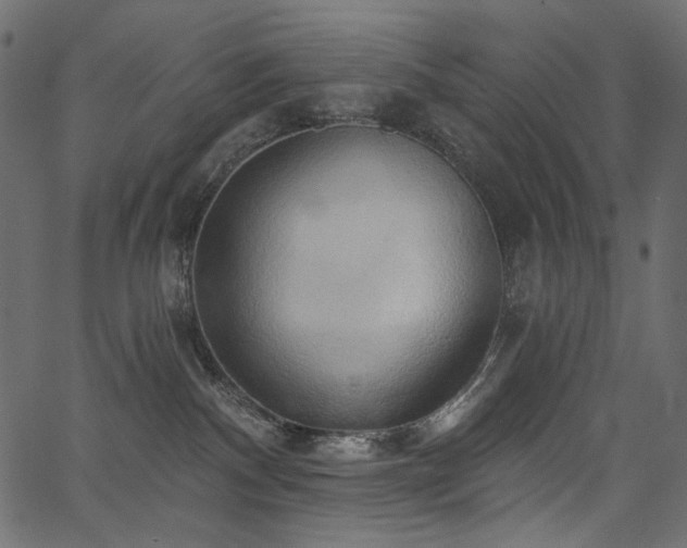 X0000067390140200603311308