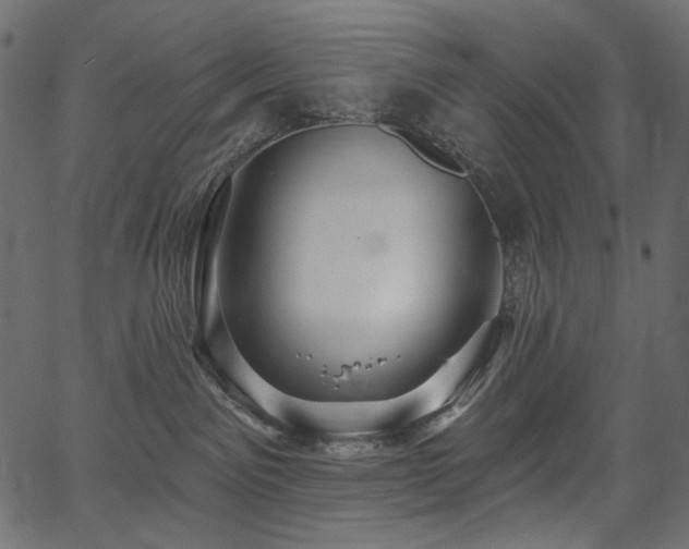 X0000067390141200603311308