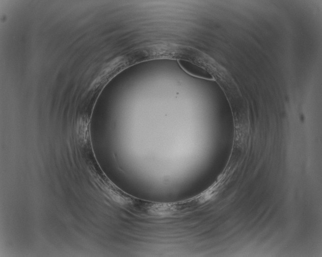 X0000067390142200603311308