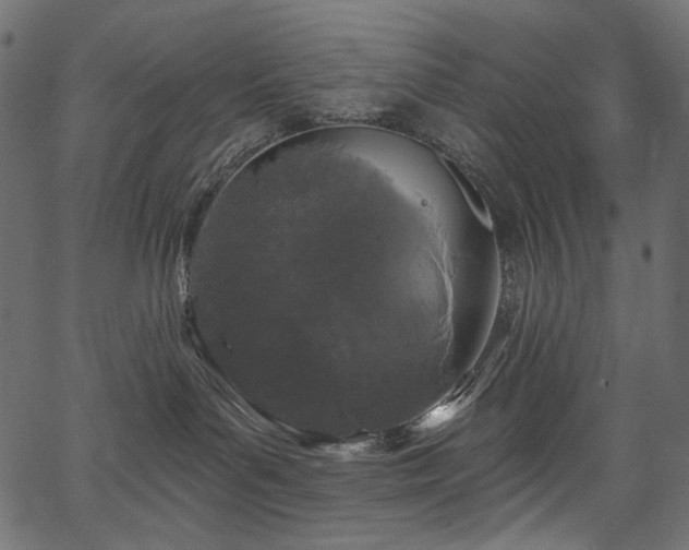 X0000067390143200603311308