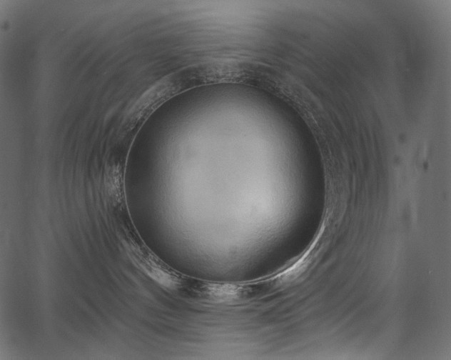 X0000067390144200603311308