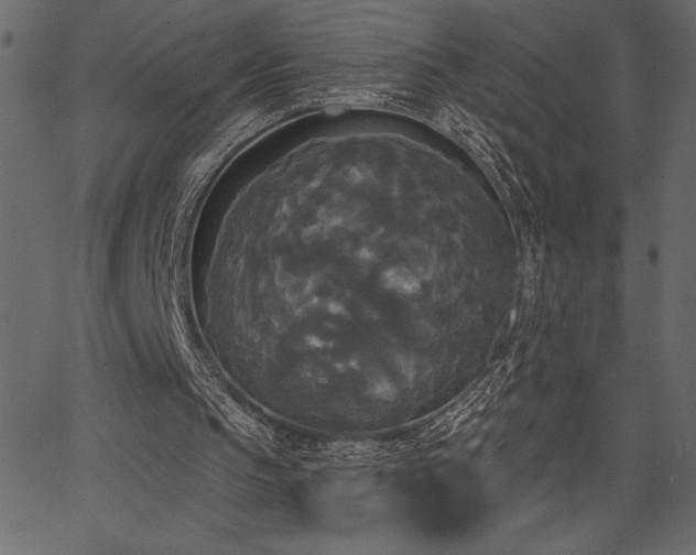 X0000067390145200603311307