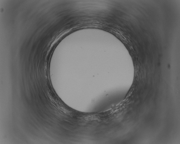 X0000067390146200603311307