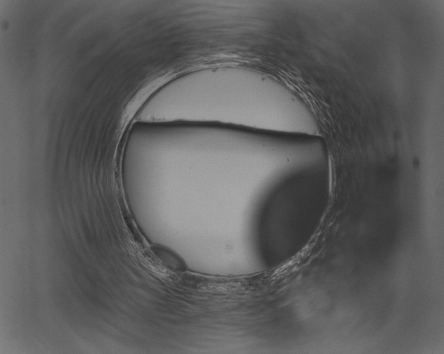 X0000067390147200603311307