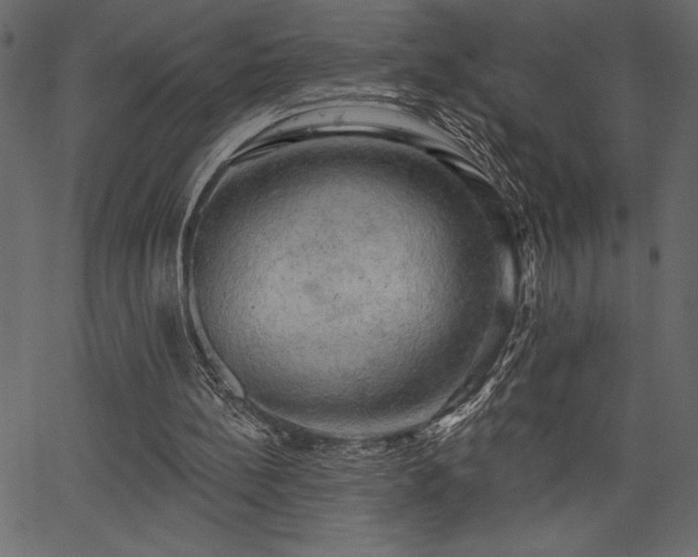 X0000067390148200603311307