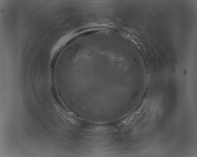 X0000067390149200603311307