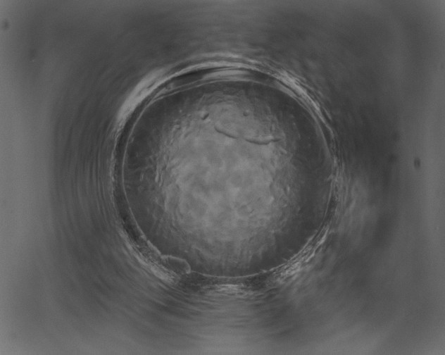 X0000067390151200603311307