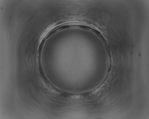 X0000067390152200603311307