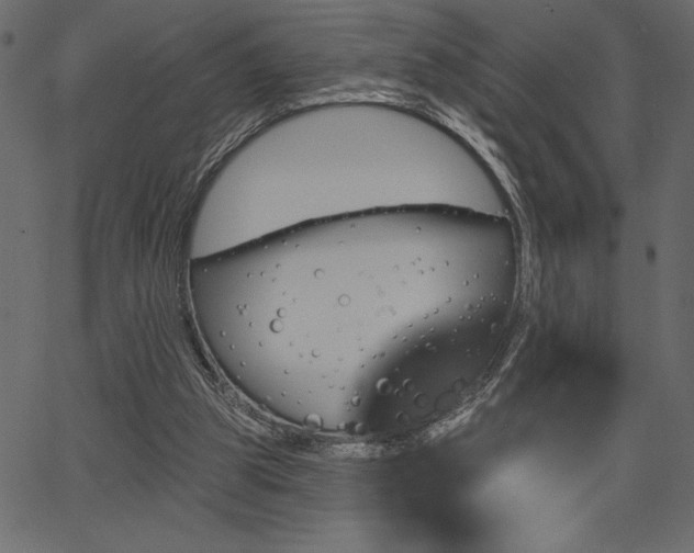 X0000067390153200603311307