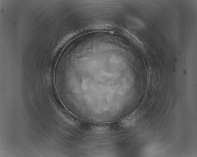 X0000067390155200603311308