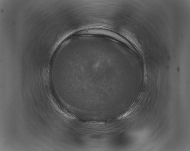 X0000067390156200603311308