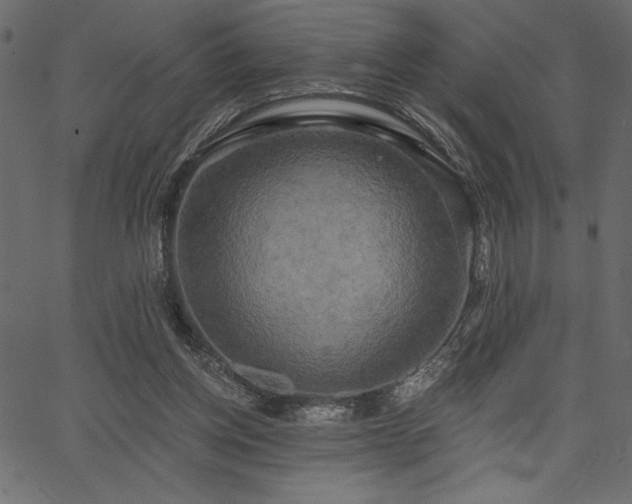 X0000067390158200603311308