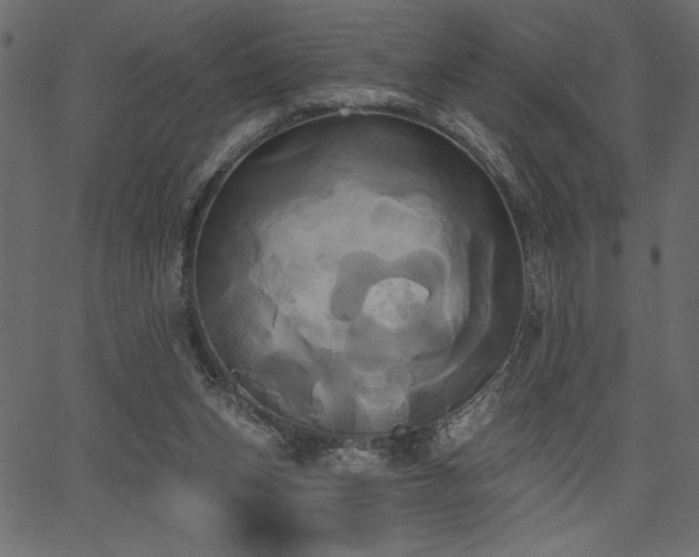 X0000067390159200603311308