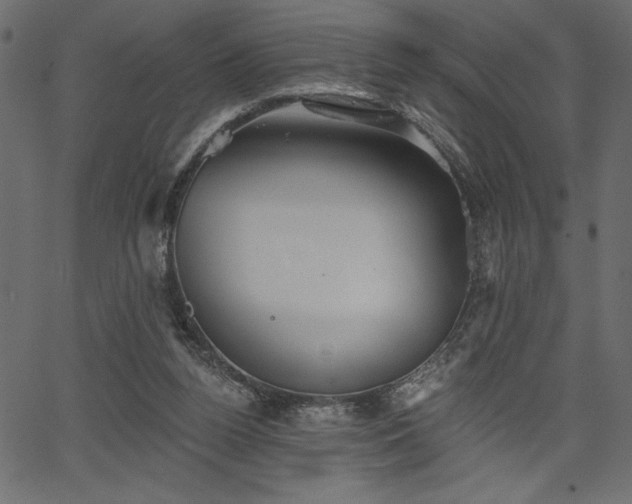 X0000067390160200603311308