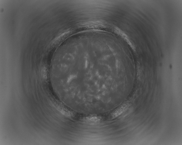 X0000067390161200603311308