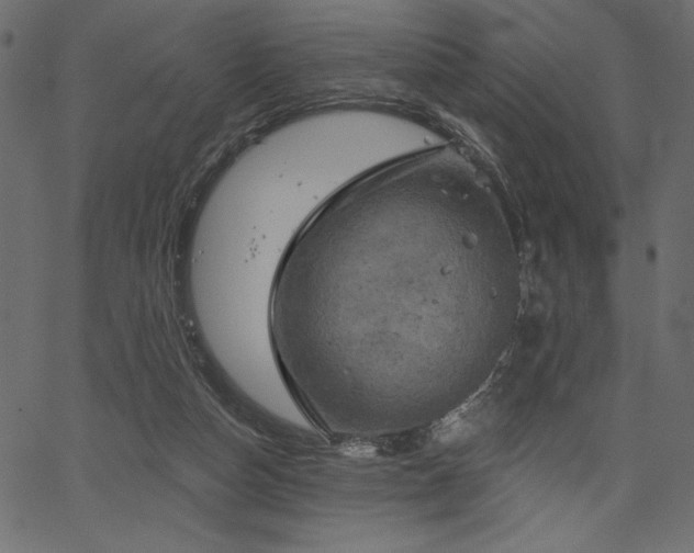 X0000067390162200603311308