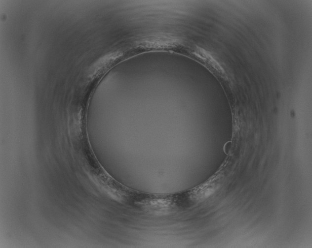 X0000067390163200603311308