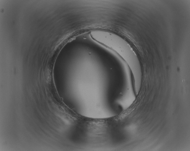 X0000067390164200603311308