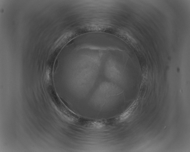 X0000067390166200603311308