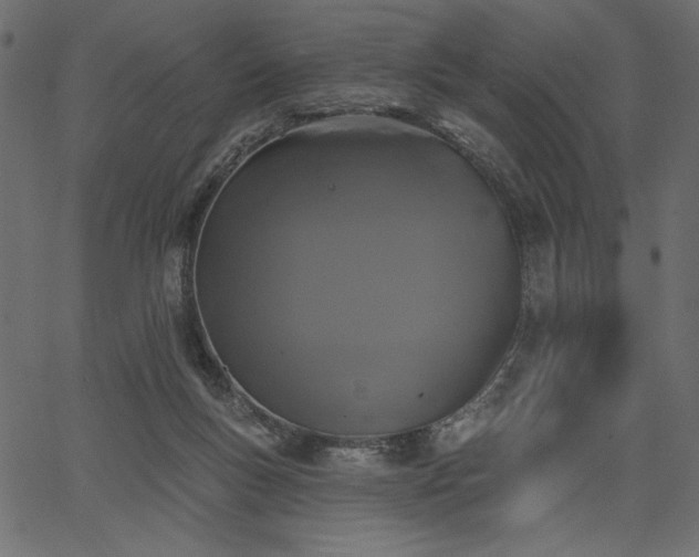 X0000067390167200603311308