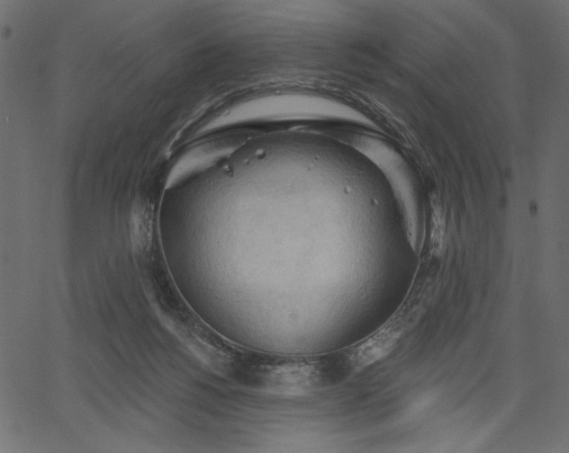 X0000067390168200603311308