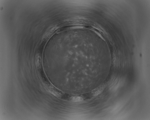 X0000067390169200603311308