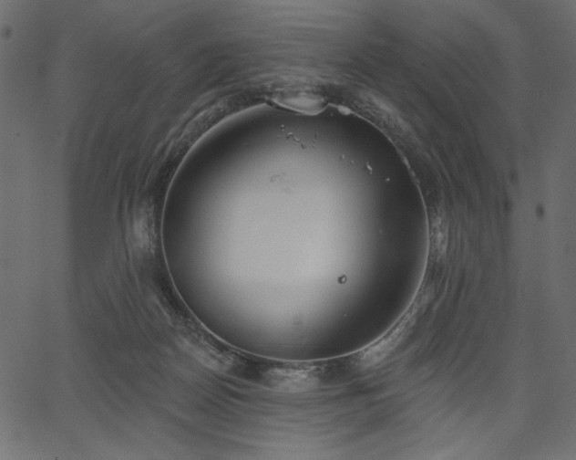 X0000067390170200603311308