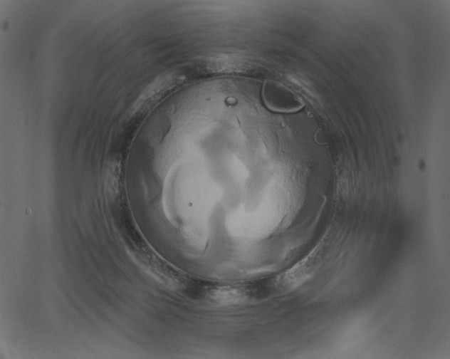 X0000067390171200603311308