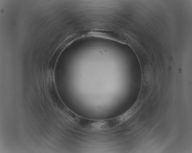 X0000067390172200603311308