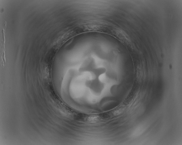 X0000067390173200603311308