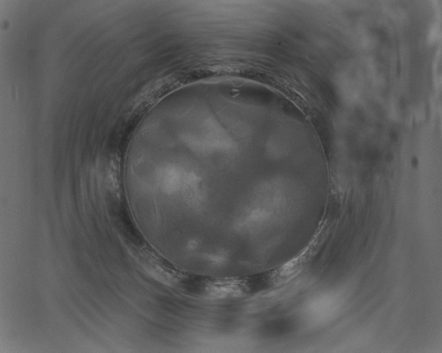 X0000067390175200603311308