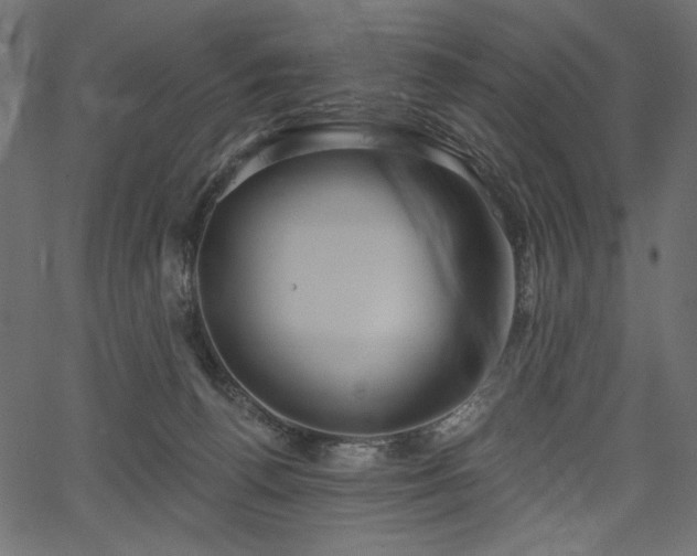 X0000067390176200603311308