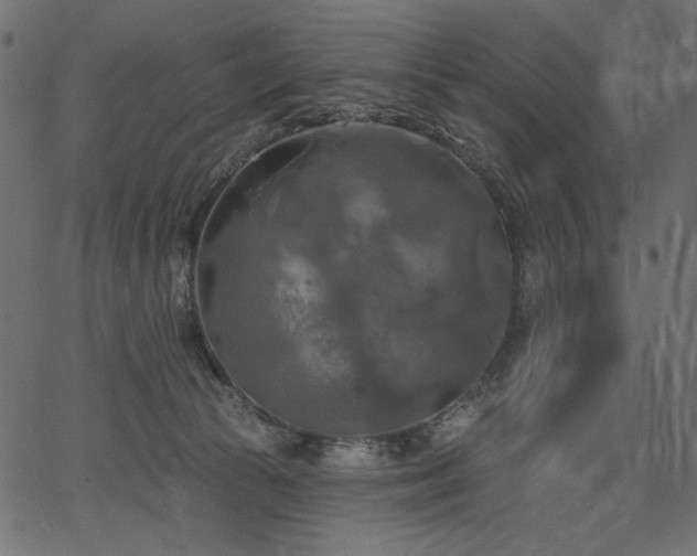 X0000067390177200603311308