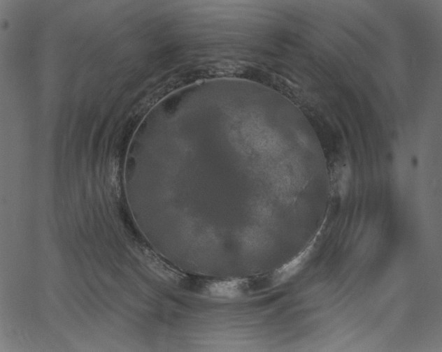 X0000067390178200603311308