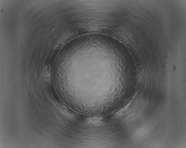 X0000067390179200603311308