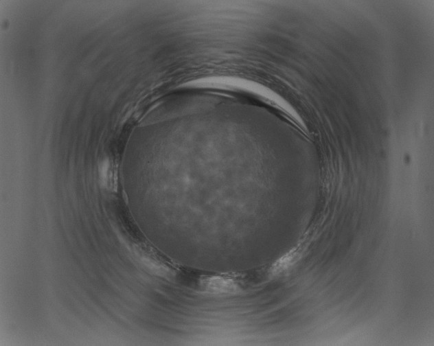 X0000067390180200603311308