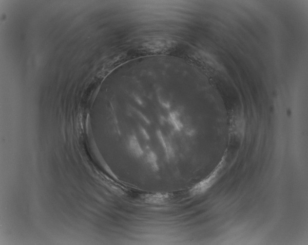 X0000067390182200603311308