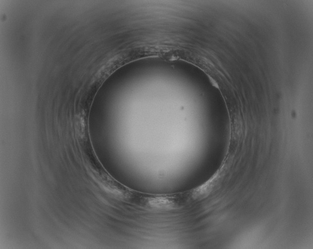 X0000067390183200603311308