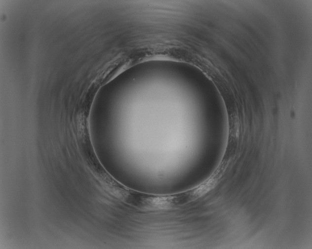 X0000067390184200603311308